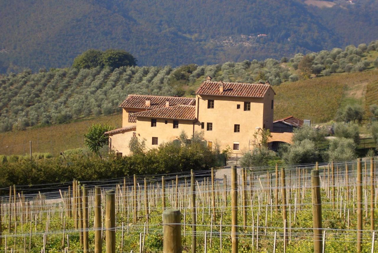 I Veroni - Agriturismo And Wine Cellar Pontassieve Exterior photo